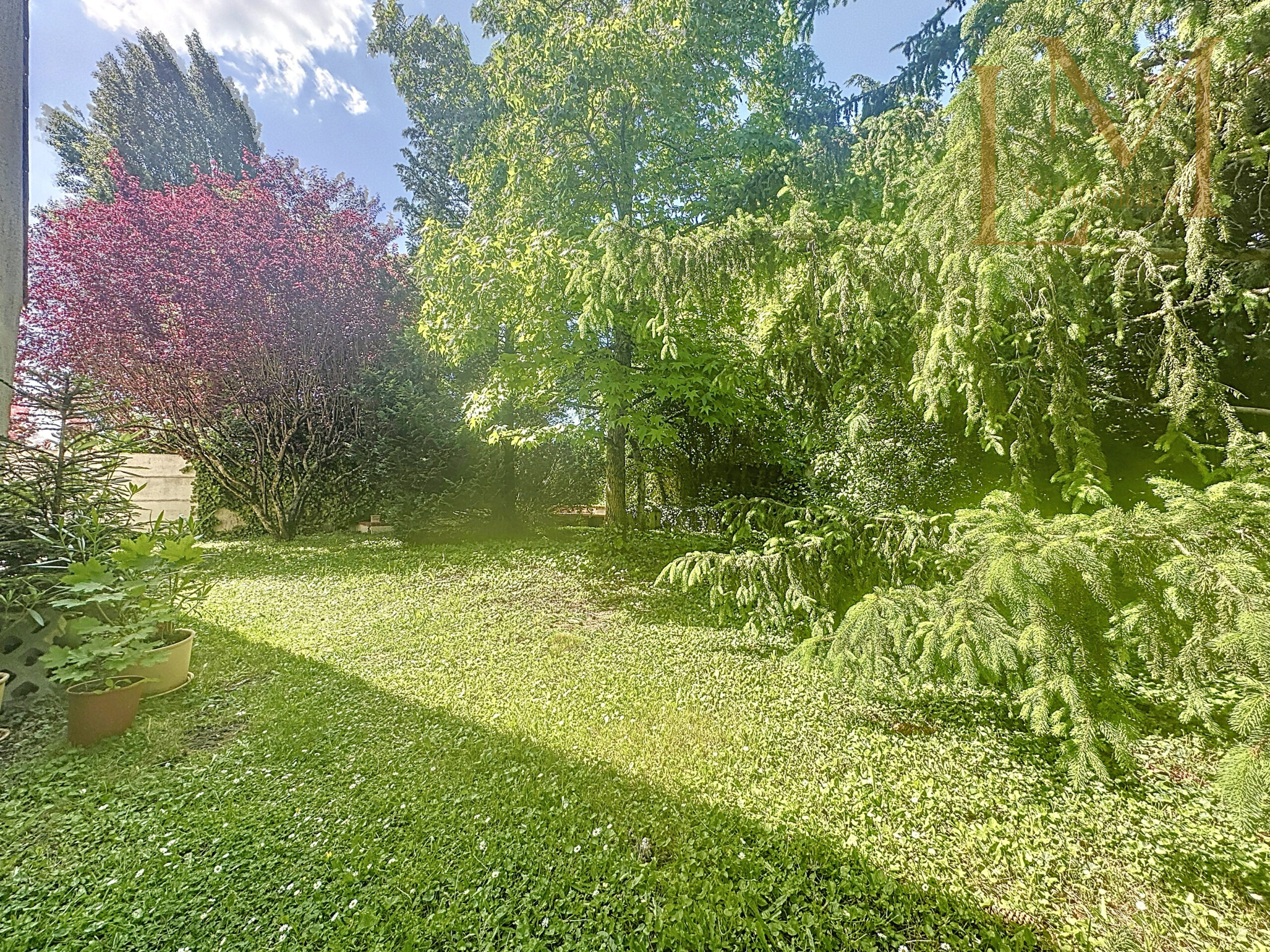 ligneau_00012