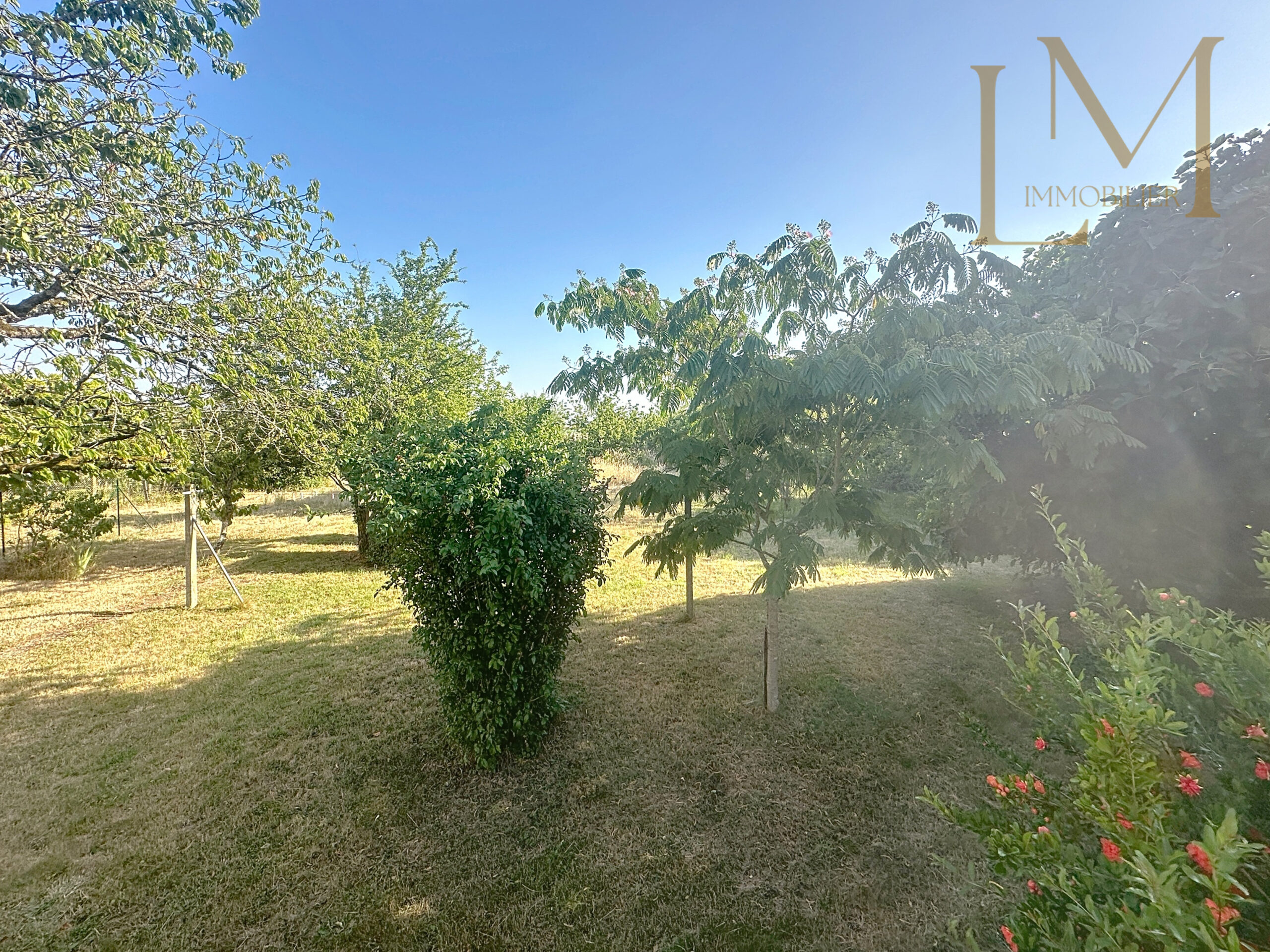 ingre_00015