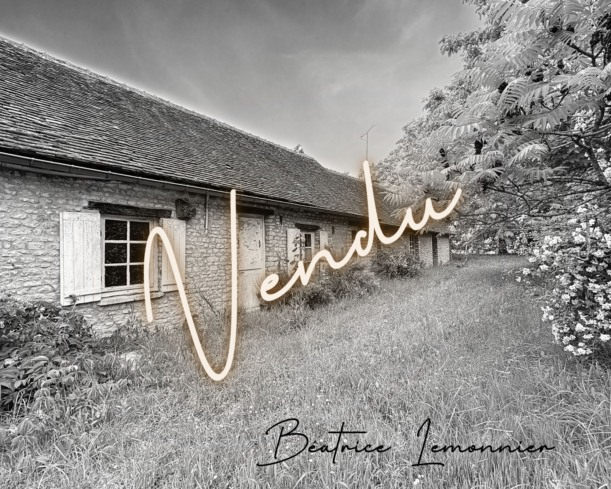 Maison Vrigny 3 pièce(s) 91.83 m2