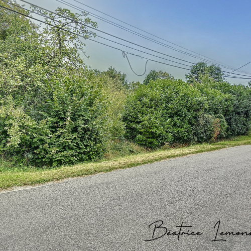 VRIGNY, Terrain à bâtir de 1380m2, 30 000 € FAI